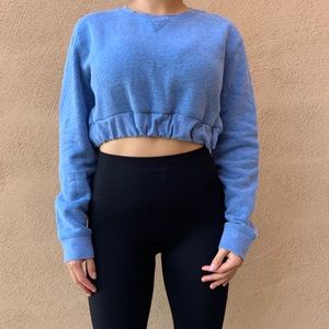 Everlast Cropped Sweater